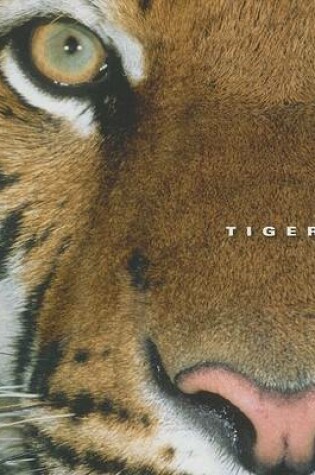 Cover of Tigers