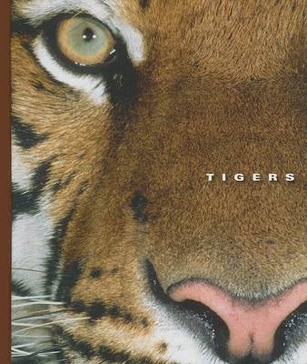 Book cover for Tigers