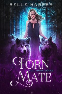 Book cover for Torn Mate