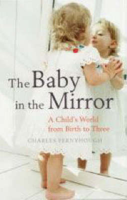 Book cover for Baby in the Mirror