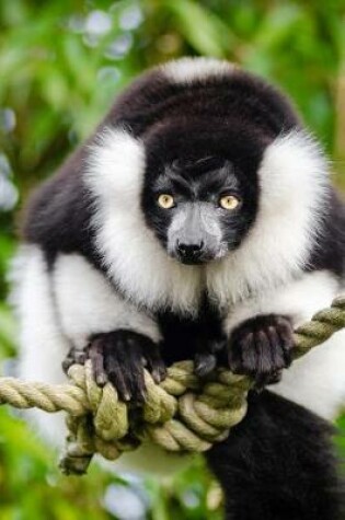 Cover of A Cute Black and White Lemur Perched on a Rope Journal