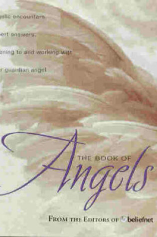 Cover of The Big Book of Angels