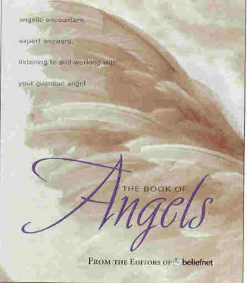 Book cover for The Big Book of Angels