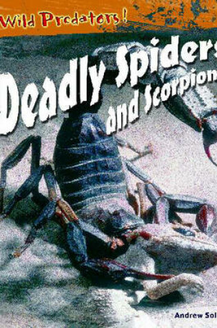 Cover of Wild Predators! Deadly Spiders & Scorpions