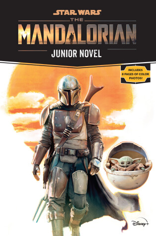 Cover of Star Wars: The Mandalorian Junior Novel