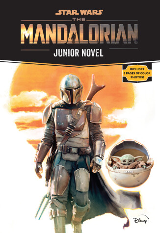 Book cover for Star Wars: The Mandalorian Junior Novel