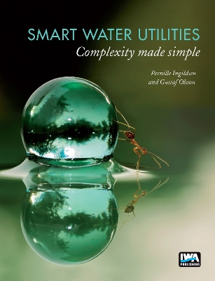 Book cover for Smart Water Utilities