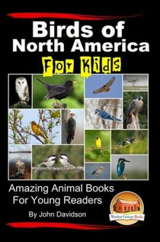 Cover of Birds of North America For Kids - Amazing Animal Books for Young Readers