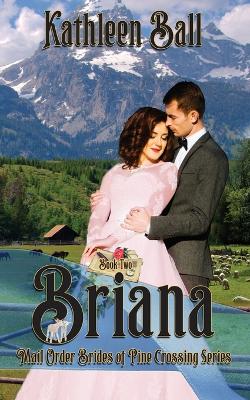 Book cover for Briana