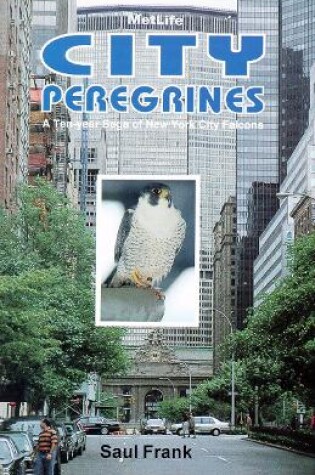 Cover of City Peregrines