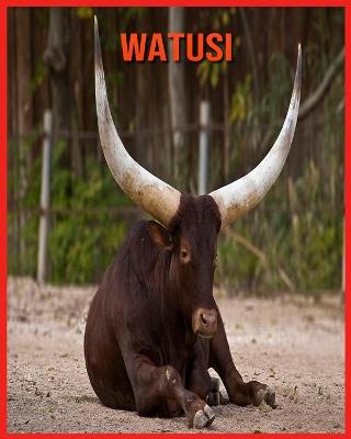 Book cover for Watusi