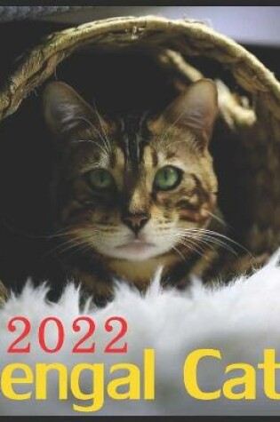 Cover of Bengal Cats 2022