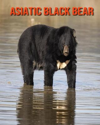 Book cover for Asiatic Black Bear