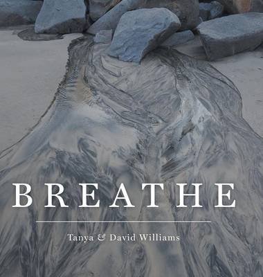 Book cover for Breathe