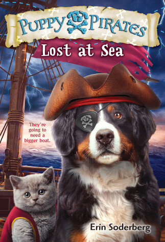 Cover of Lost at Sea