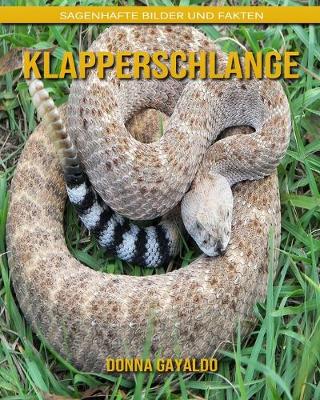 Book cover for Klapperschlange