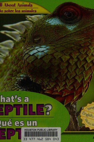 Cover of What's a Reptile? / ¿Qué Es Un Reptil?