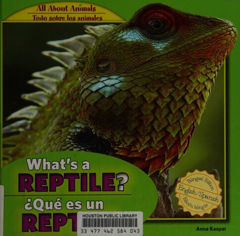 Book cover for What's a Reptile? / ¿Qué Es Un Reptil?