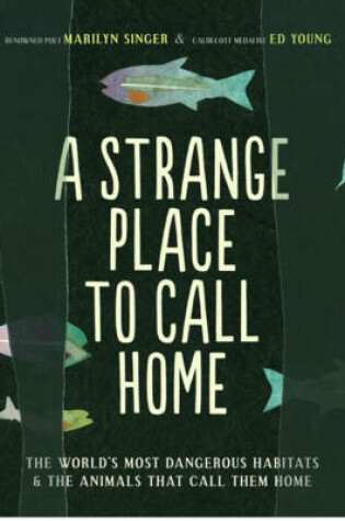 Cover of A Strange Place to Call Home