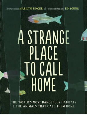 Book cover for A Strange Place to Call Home