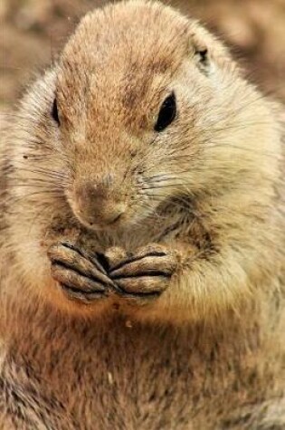 Cover of Prairie Dog Making Plans To Take Over The World