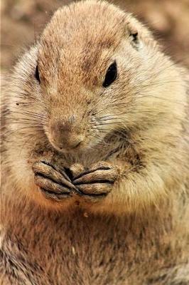 Book cover for Prairie Dog Making Plans To Take Over The World