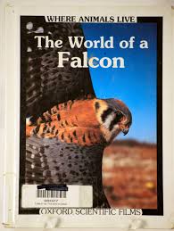 Book cover for The World of a Falcon