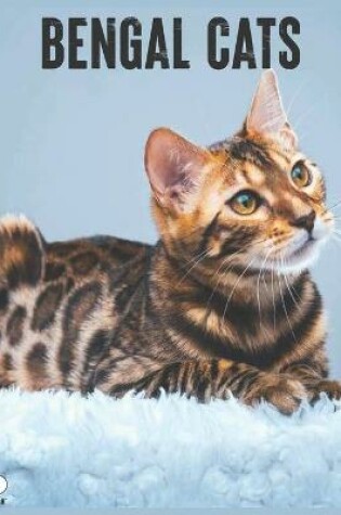Cover of Bengal Cats 2021 Wall Calendar