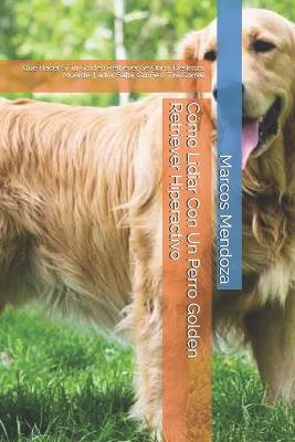 Book cover for Como Lidiar Con Un Perro Golden Retriever Hiperactivo