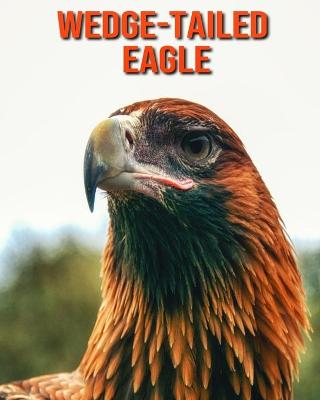 Book cover for Wedge-Tailed Eagle