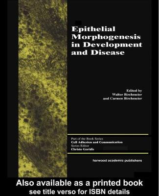 Cover of Epithelial Morphogenesis in Development and Disease