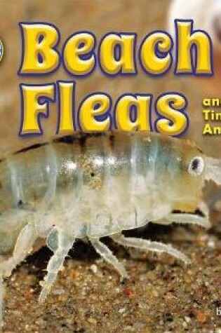 Cover of Beach Fleas and Other Tiny Sand Animals