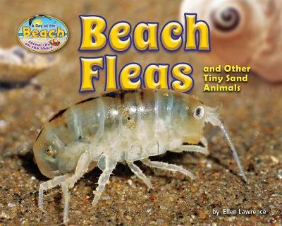Book cover for Beach Fleas and Other Tiny Sand Animals