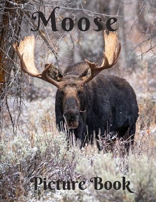 Book cover for Moose Picture Book