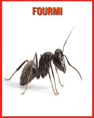 Book cover for Fourmi