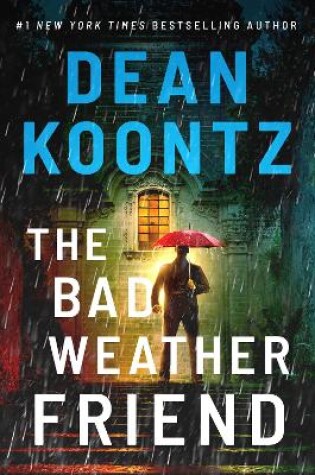 Cover of The Bad Weather Friend