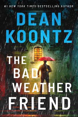Book cover for The Bad Weather Friend