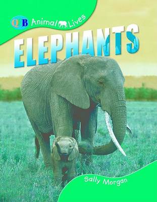 Book cover for Animal Lives Elephants Us