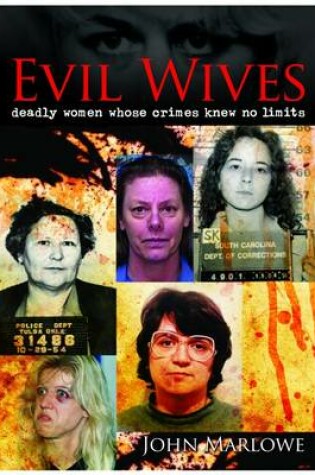 Cover of Evil Wives