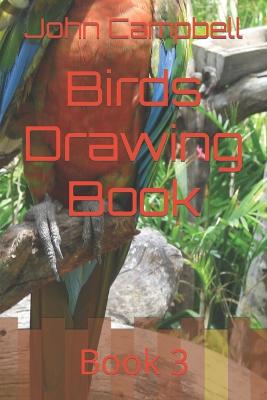 Book cover for Birds Drawing Book