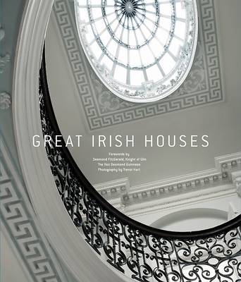 Book cover for Great Irish Houses