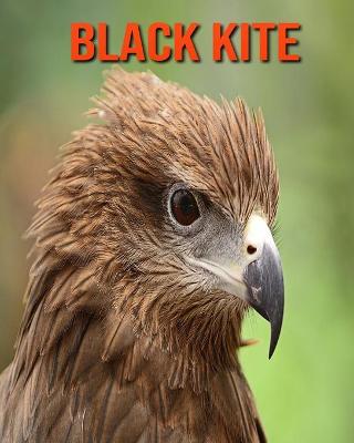 Book cover for Black kite