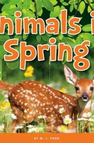 Cover of Animals in Spring