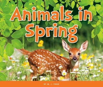 Cover of Animals in Spring