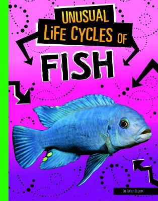 Book cover for Fish