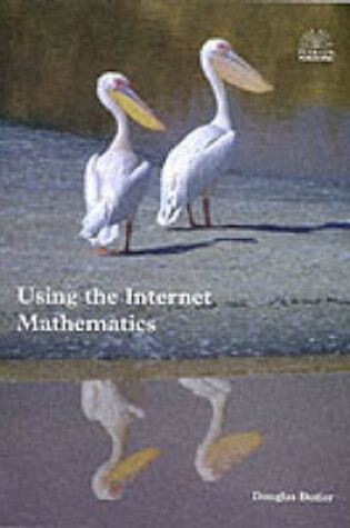 Cover of Using the Internet