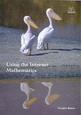 Book cover for Using the Internet