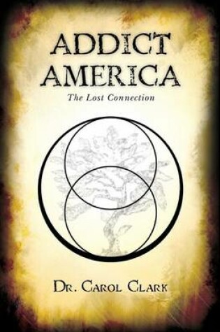 Cover of Addict America