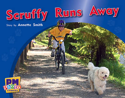 Book cover for Scruffy Runs Away