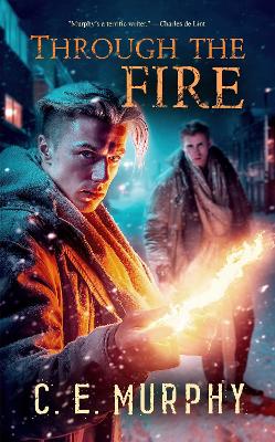 Book cover for Through the Fire